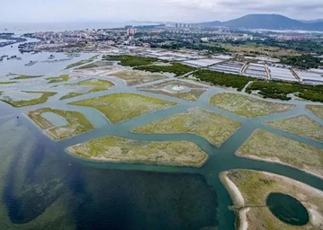 海南陵水紅樹林濕地公園試點(diǎn)建設(shè)項(xiàng)目測繪和勘察服務(wù)